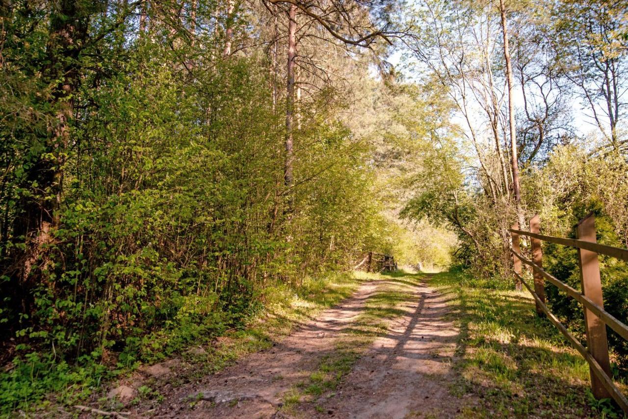 In The Woods - Chata W Lesie Na Wylacznosc Villa Suprasl Luaran gambar